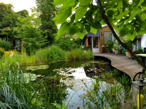 Gartenteich mit Holzsteg und üppiger Uferbepflanzung