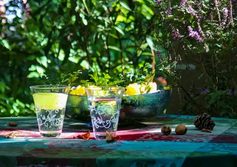 Gläserner Gartenpavillon mit gedecktem Tisch, gerahmt von Beeten und Rasen