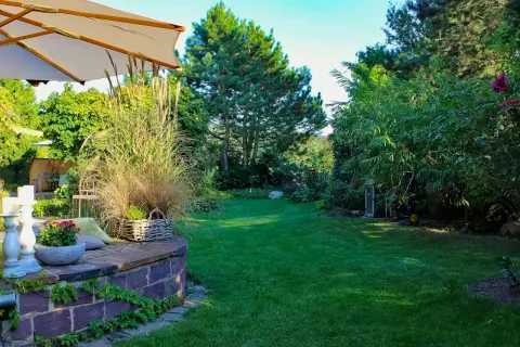 Gläserner Gartenpavillon mit Sitzplatz neben einem Kiefernbeet