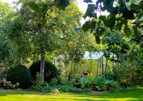 Garten mit Formgehölzen, Bäumen und Rasen