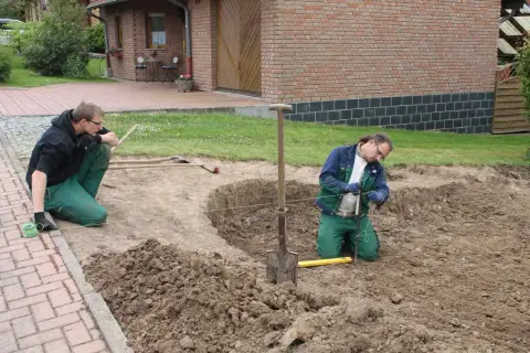 Bauphase: Pflanzarbeiten rund um einen neu gesetzten Baum
