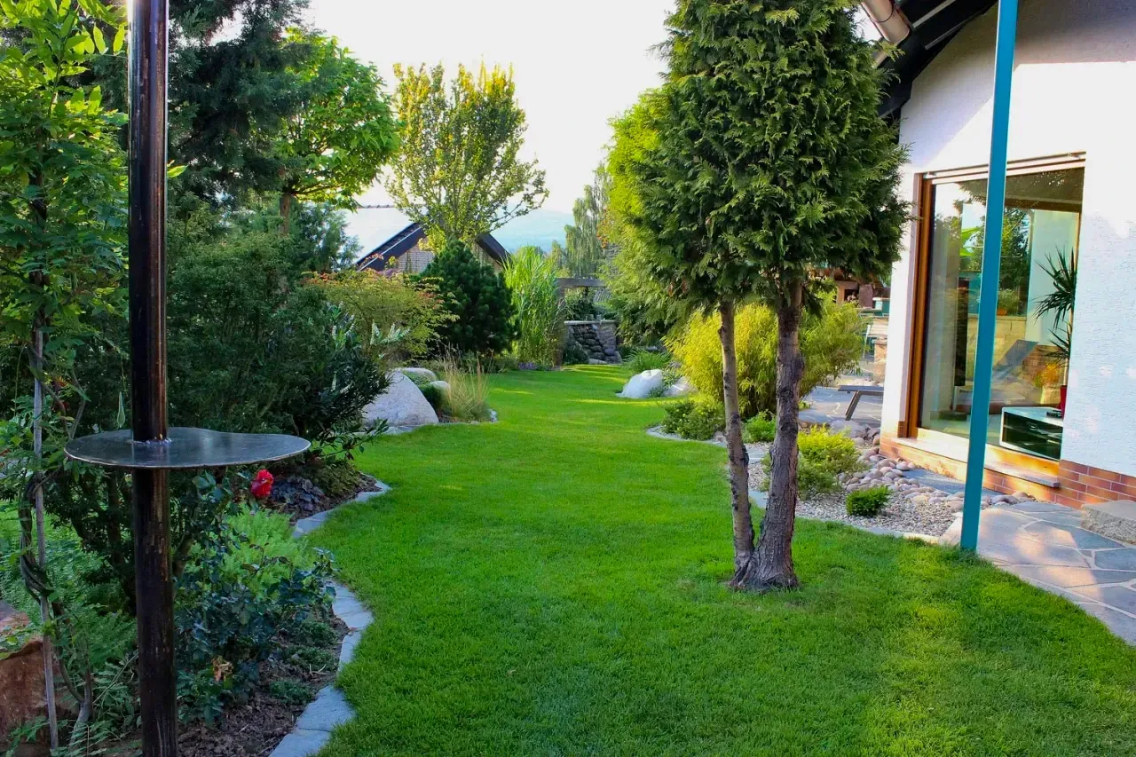 Fertiger Garten: gepflegte Rasenfläche mit Formgehölz und Blick zum Haus