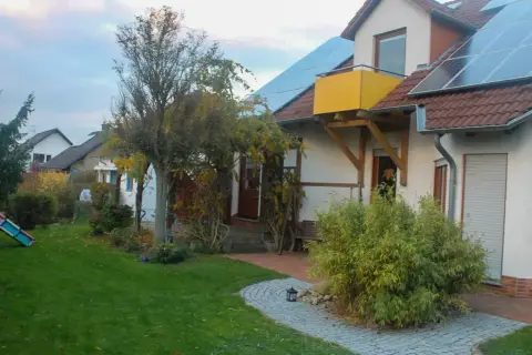 Ausgangssituation: Garten mit Hecken und Sträuchern
