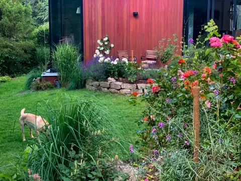 Fertiger Garten: bunte Staudenbepflanzung im Sommer
