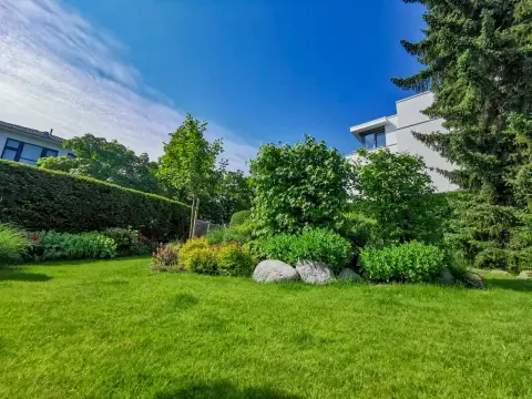 Fertiger Garten nach der Umgestaltung