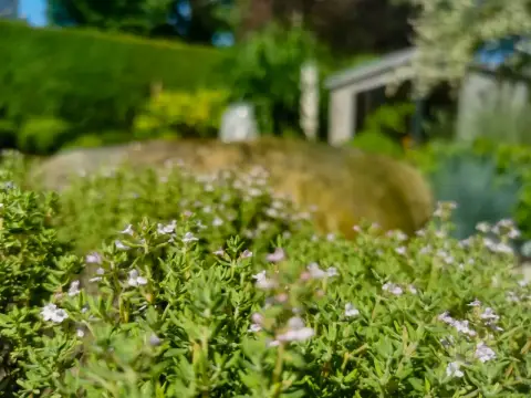 Fertiger Garten: Wege und Beete im Ergebnis