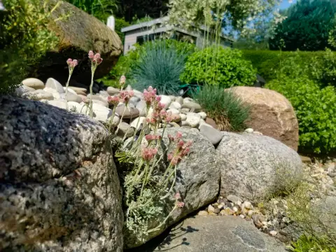 Fertiger Garten nach der Umgestaltung