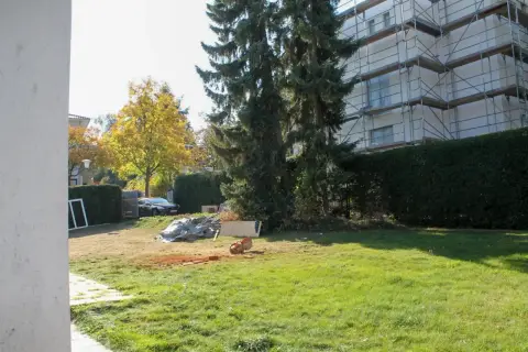 Ausgangssituation: bestehender Garten mit Rasen und Gehölzen